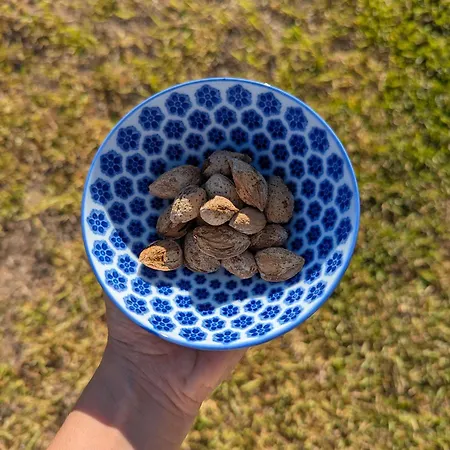 Πανσιόν Il Monile 3*